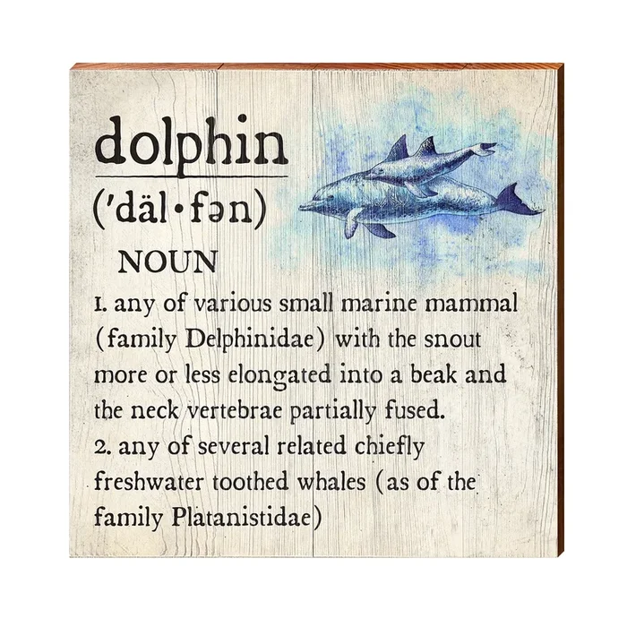 Dolphin Definition Wooden Sign | Wall Art Print on Real Wood | Coastal Tropical Nautical Beach House Home Decor