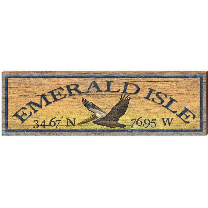 Emerald Isle Pelican Sunburst Latitude Longitude | Wall Art Print on Real Wood