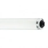GE F48T12/CW/HO/GE 60W 48 Inch T12 Linear Fluorescent 4100K 61 CRI Recessed Double Contact R17D Base High Output Tube (10773G)