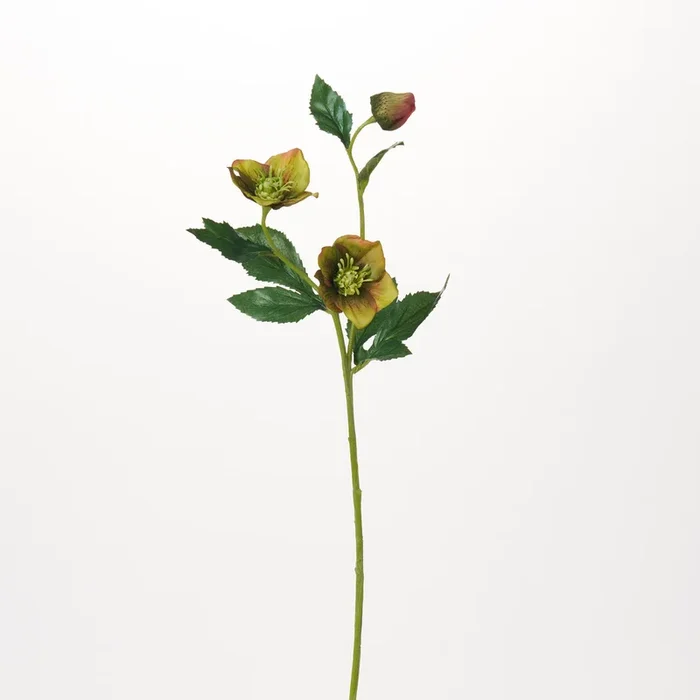 Green Chartreuse Helleborus Blooms Faux Winter Spring Stem Floral Spray – 23″