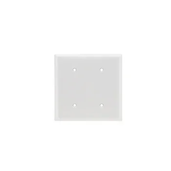 Pass And Seymour Smooth Wall Plate 2-Gang Blank Strap Mount White (SP24W)