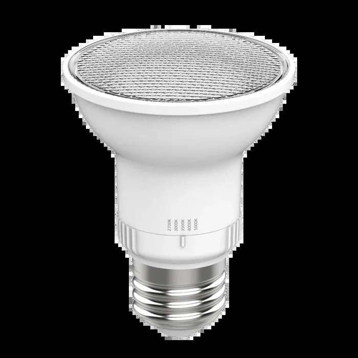 RAB 5W LED PAR20 Lamp E26 Base CCT Selectable 2700K/3000K/3500K/4000K/5000K 40 Degree Beam Angle 90 CRI Frosted (PAR20FA-5.5-9CCT-40D-DIM)