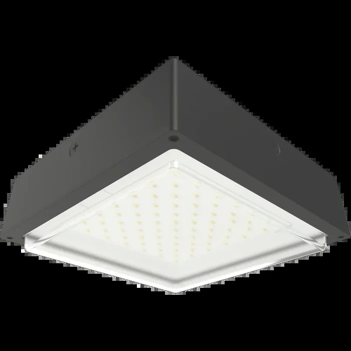 RAB VAN34 Canopy Light Wattage/CCT Selectable 60W/50W/40W 3000K/4000K/5000K 120-277V 0-10V Dimming Drop Clear Lens Bronze (VAN34-60)