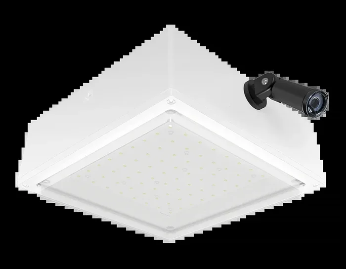 RAB VanLED 40W 3000K Drop Frosted Lens 120V Swivel Photocell White (VANLED40YFRW/PCS)