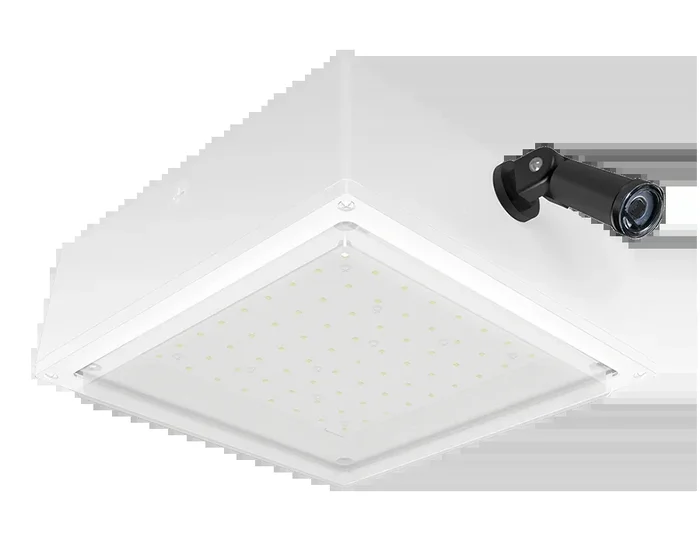 RAB VanLED 40W 5000K Drop Frosted Lens 277V Swivel Photocell White (VANLED40FRW/PCS2)
