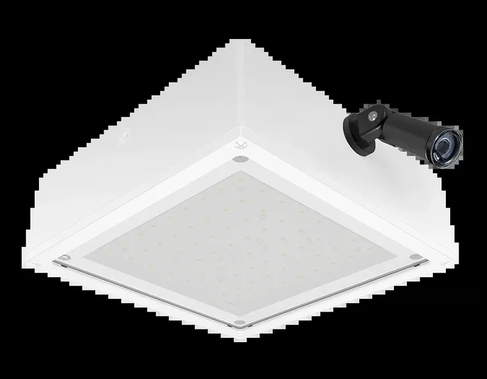 RAB VanLED 65W 4000K Flat Frosted 480V 0-10V Swivel Photocell White (VANLED65NFFRW/480/PCS4)