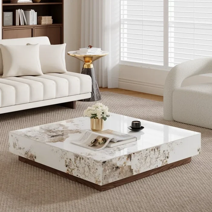 Square Sintered Stone Coffee Table, Modern Table with Storage for Living Room (39.4″)