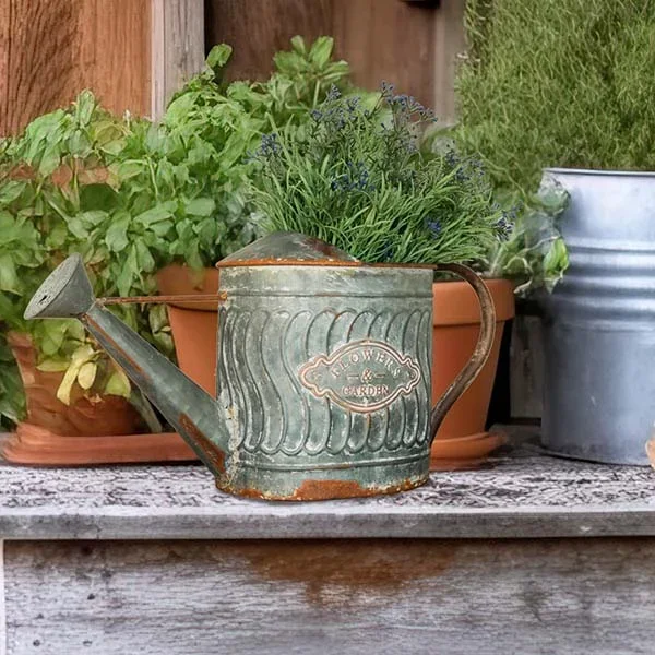 Vintage Inspired Watering Can – Decor Steals
